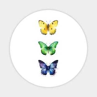 Free Butterfly Magnet